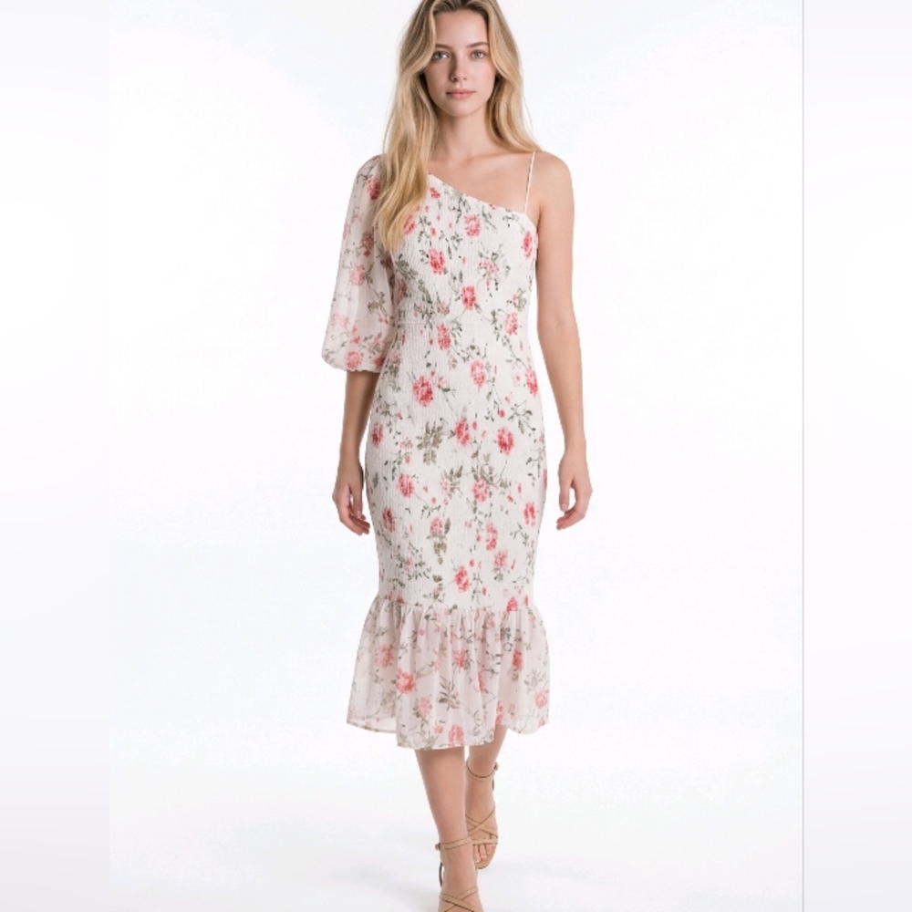Hello Molly One-Shoulder Floral Midi Dress in Cream and Pink New With Tag XLG